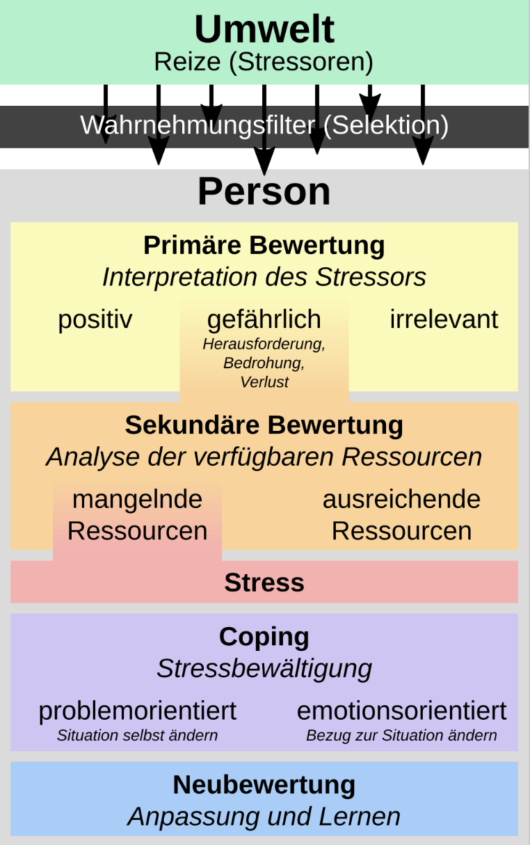 Schaubild zum Stressmodell mit Umweltreizen, Bewertung, Ressourcen, Stress, Coping und Neubewertung